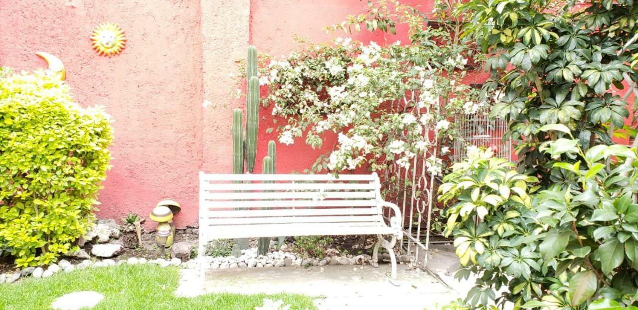 Anys Hostal Мехико Экстерьер фото